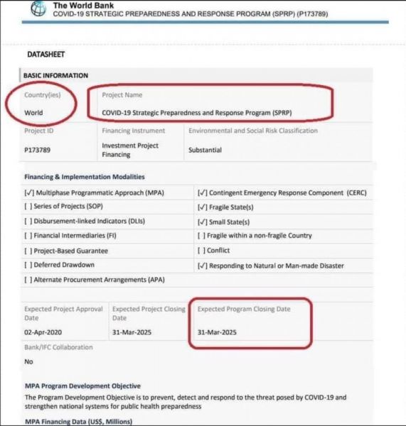 scarletvas2024-01-23T025940000Z