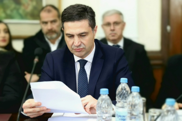 Pavlović – uskoro formiranje Privredno ekonomskog saveta